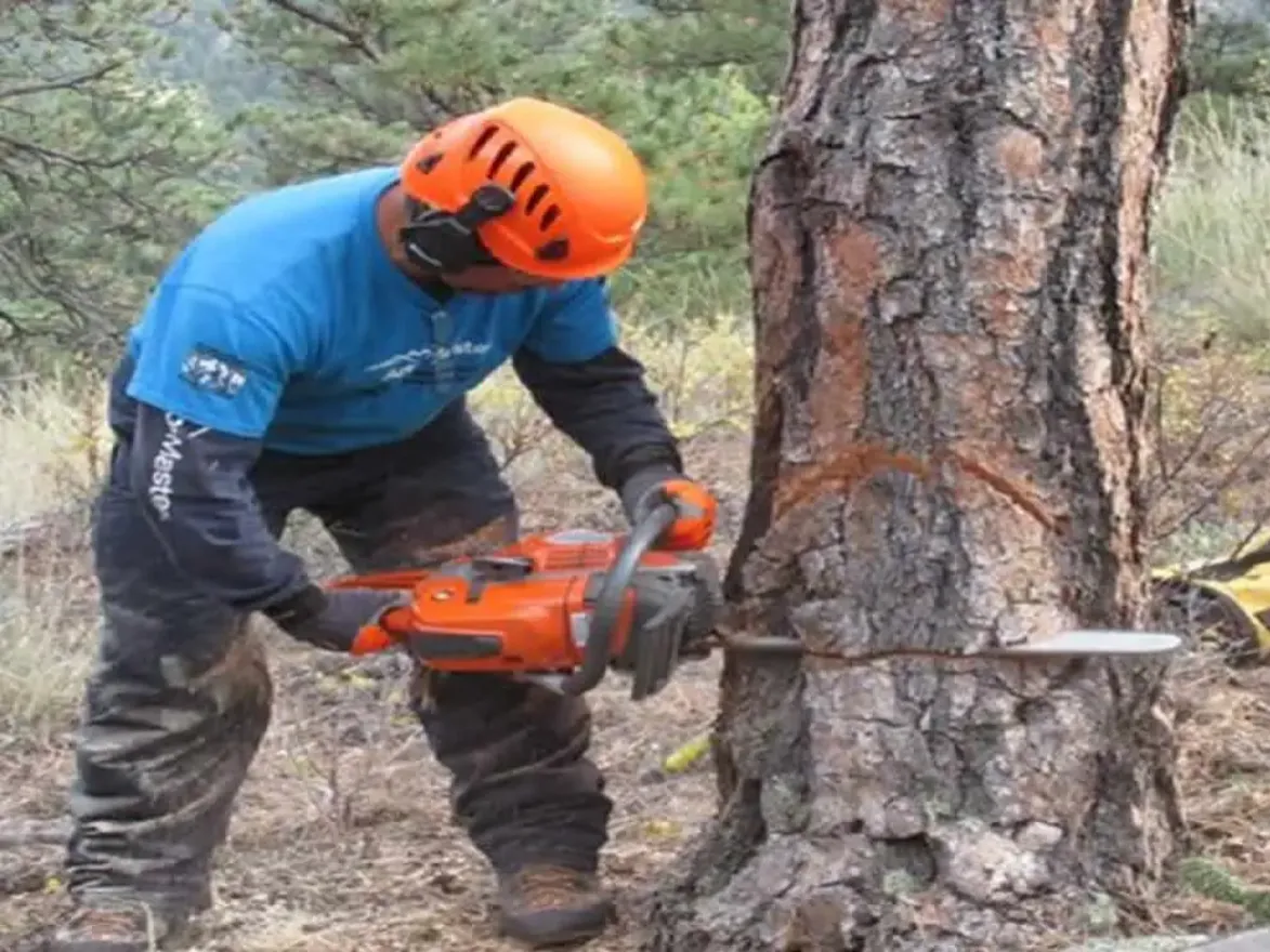 AG176_Chainsaw.webp